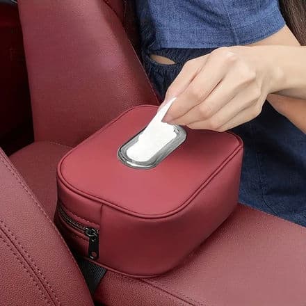 Car Tissue & Storage Organizer